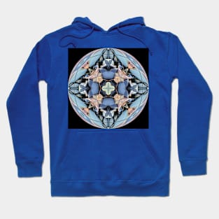 Blue nature globe Hoodie